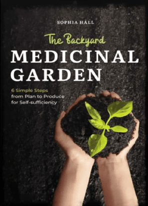 Small backyard herb garden with labeled medicinal plants