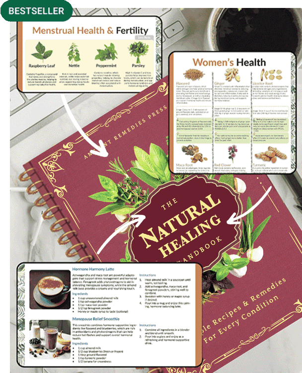 The Natural Healing Handbook