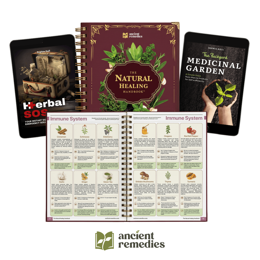 Natural Healing Handbook and bonuses