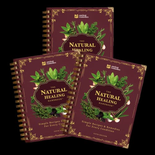 3X The Natural Healing Handbook